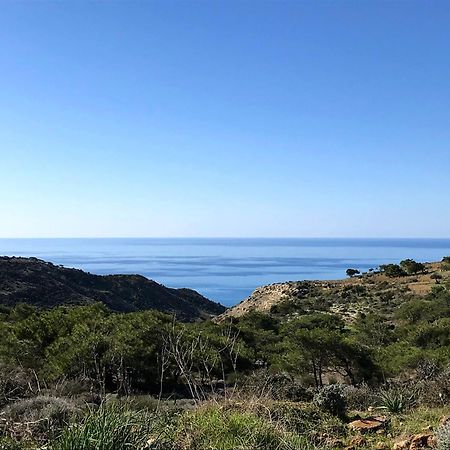 Amathousia Villa With Private Pool And Sea View Πισσούρι Εξωτερικό φωτογραφία